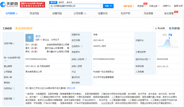 天眼查 四川云領智城信息科技有限公司1